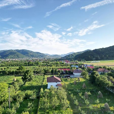 ホテル Vila Norina Oesti-Paminteni エクステリア 写真