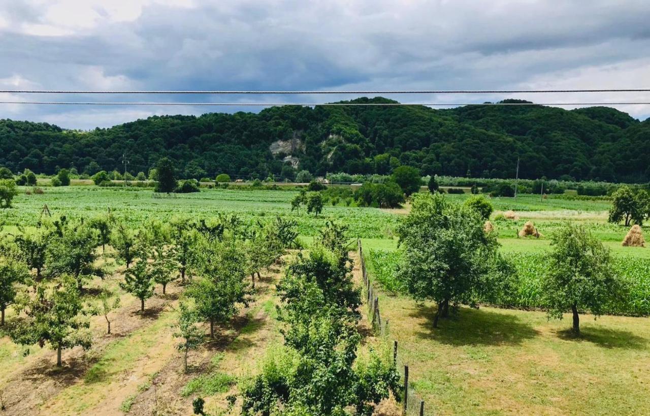 ホテル Vila Norina Oesti-Paminteni エクステリア 写真