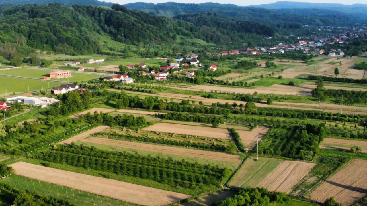 ホテル Vila Norina Oesti-Paminteni エクステリア 写真