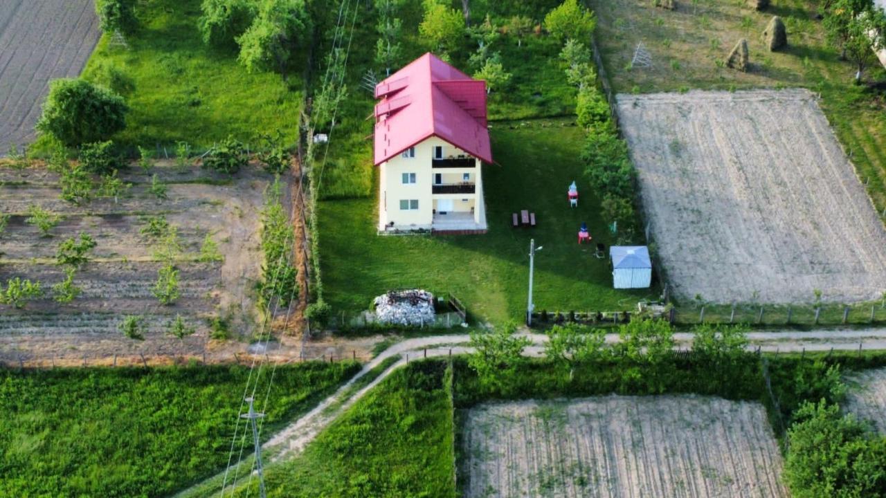 ホテル Vila Norina Oesti-Paminteni エクステリア 写真