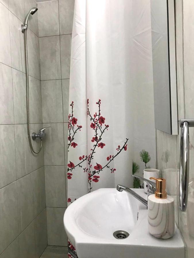 ホテル Vila Norina Oesti-Paminteni エクステリア 写真